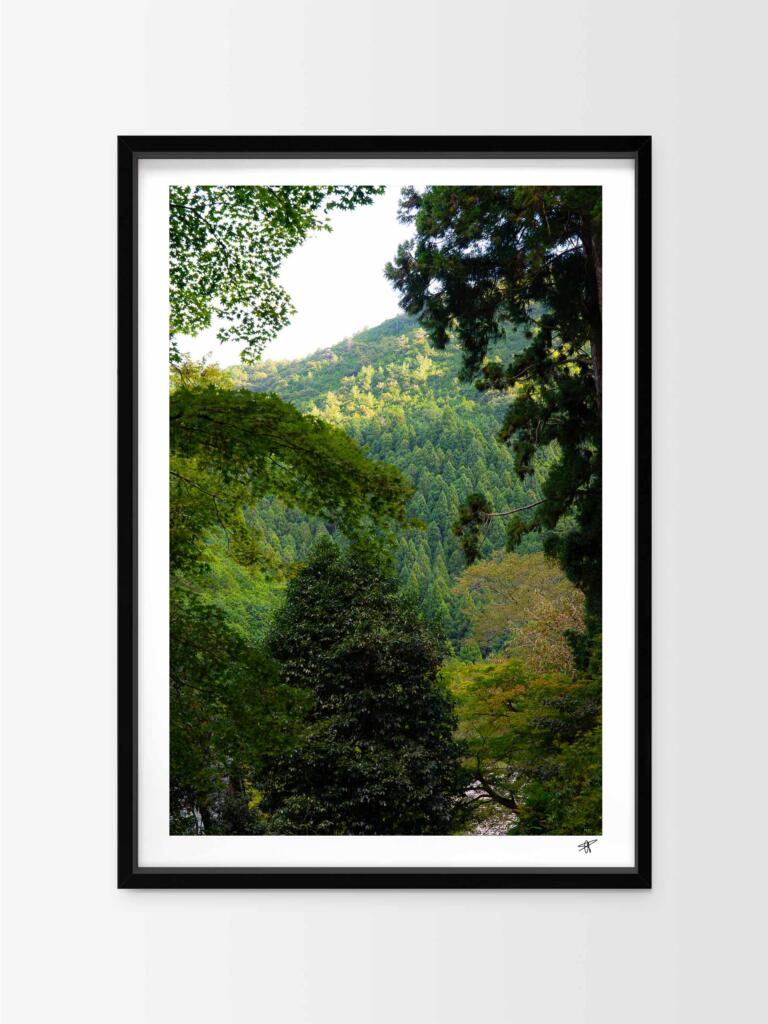 Japanese Forest, Kyoto I – Impression d&rsquo;Art Mural Japon