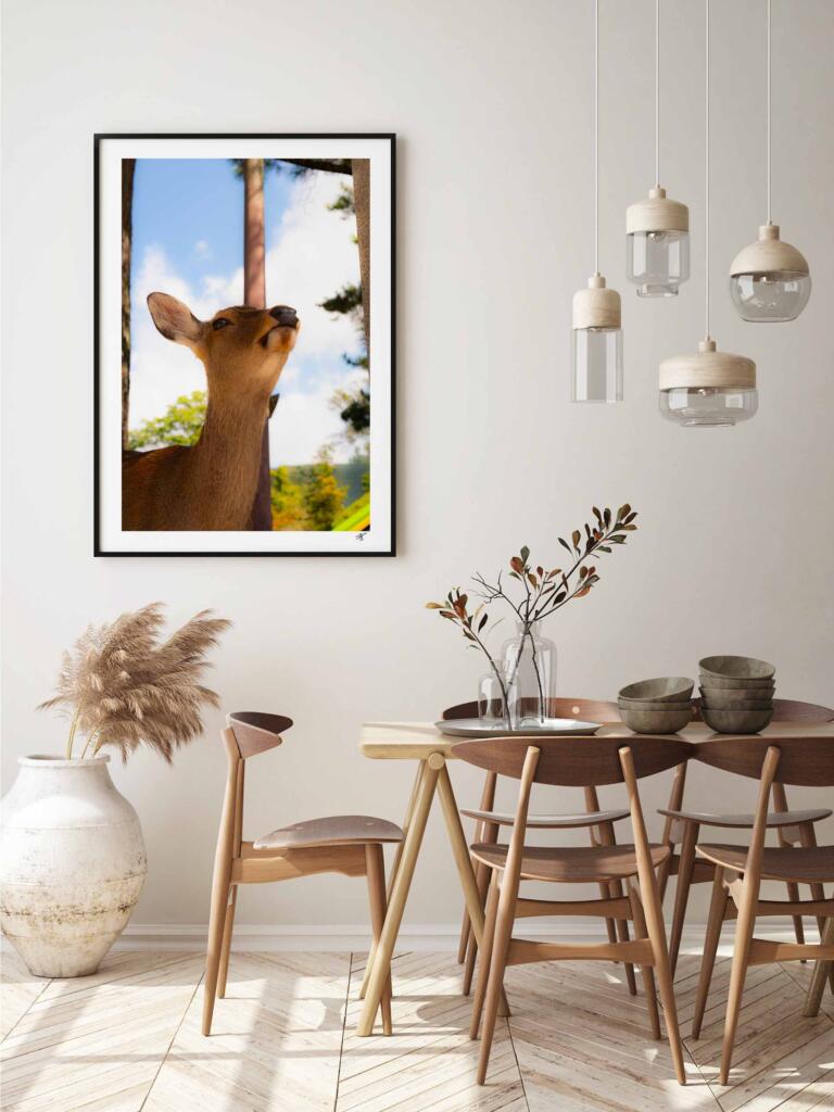 Cerf Sika, Nara II – Impression d’Art Mural Japon - hover