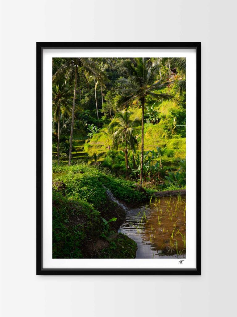 Ricefields in Ubud I – Impression d’Art Mural Indonésie
