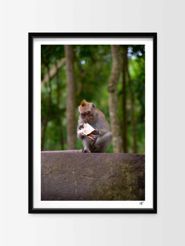 Monkey in Ubud I – Impression d’Art Mural Indonésie