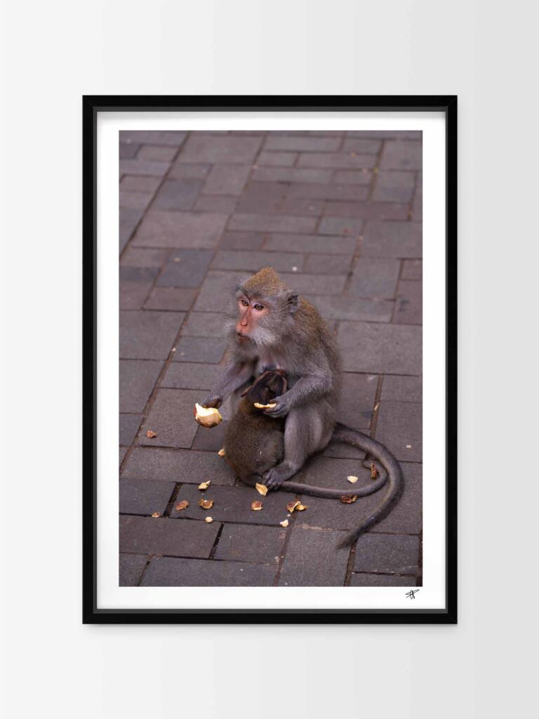 Monkey in Ubud II – Impression d&rsquo;Art Mural Indonésie
