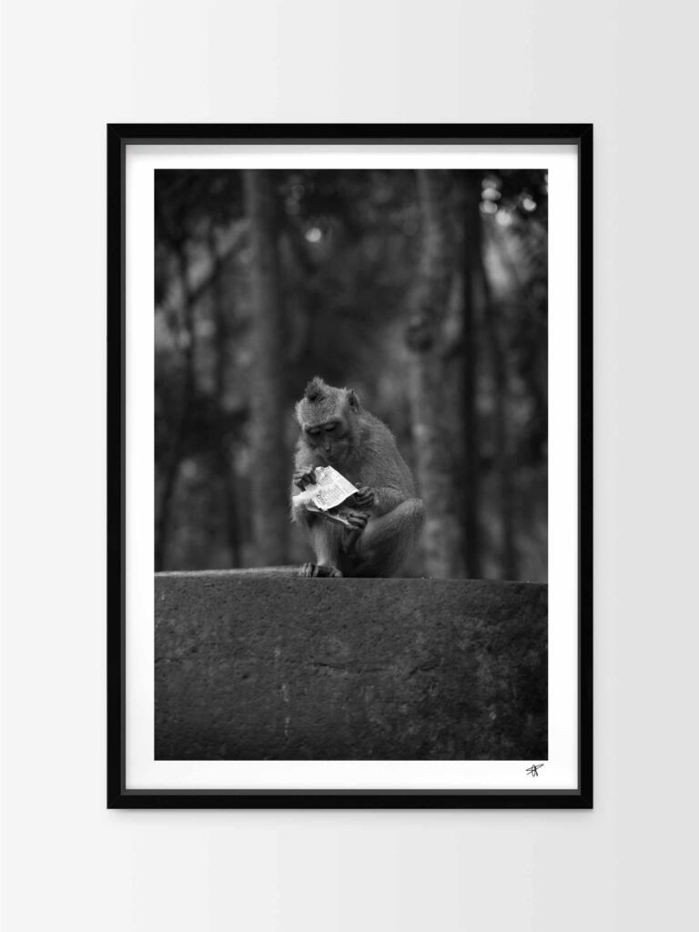 Monkey in Ubud I B&W – Impression d’Art Mural Indonésie