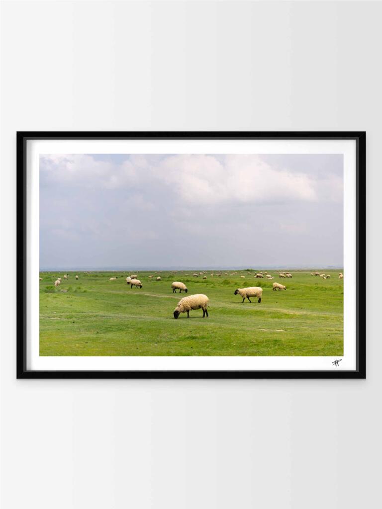 Le Mont Saint Michel VII – Impression d’Art Mural France