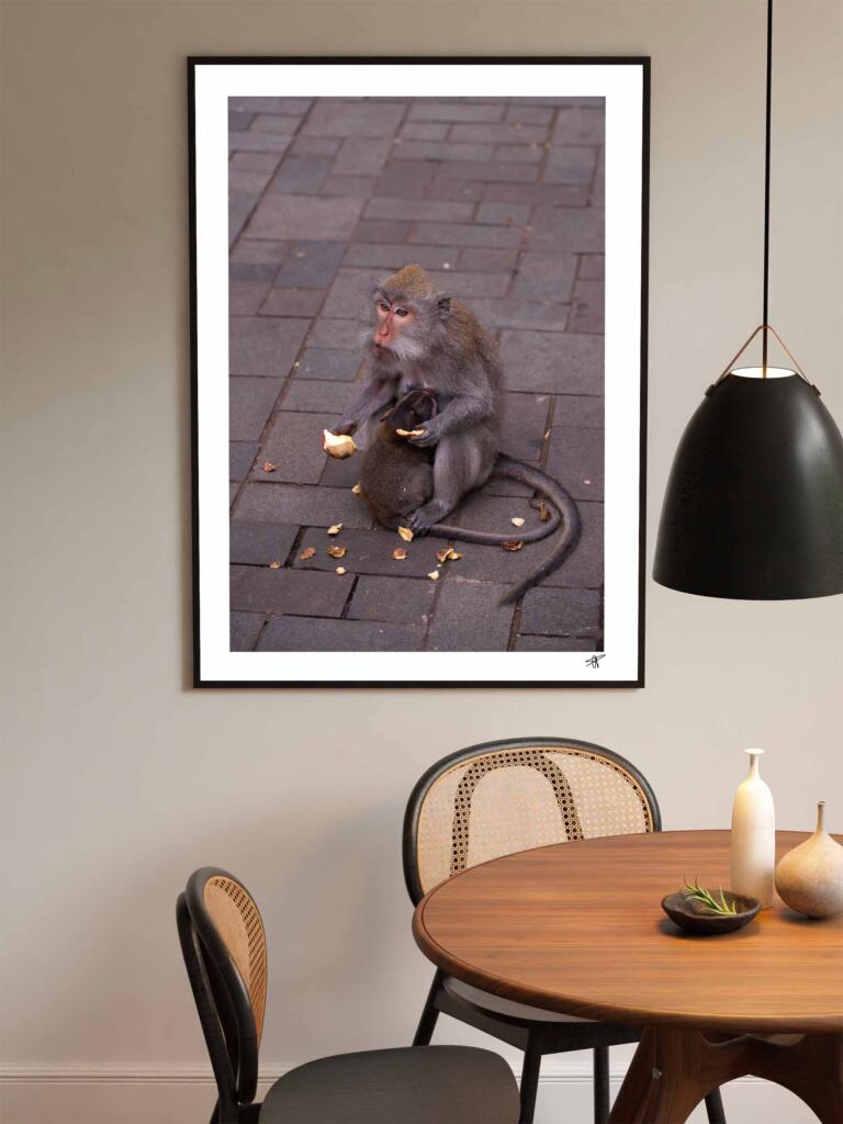 Monkey in Ubud II – Impression d&rsquo;Art Mural Indonésie - hover