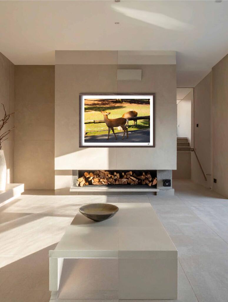 Cerf Sika, Nara I – Impression d’Art Mural Japon - hover