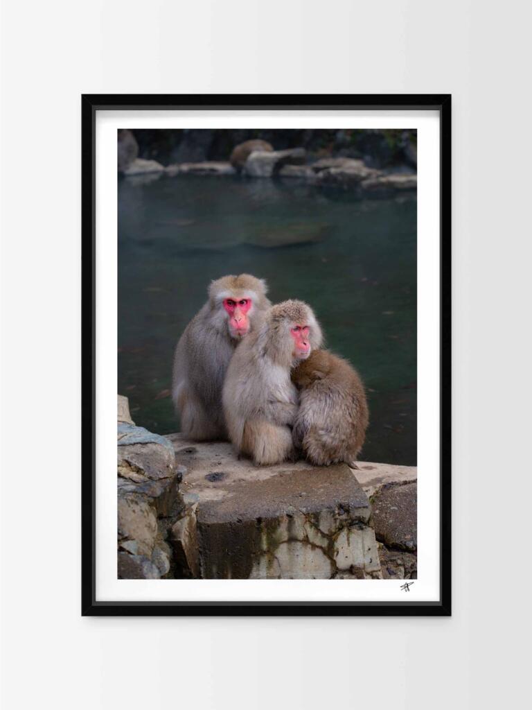 Monkeys in Jogokudani I – Impression d&rsquo;Art Mural Japon