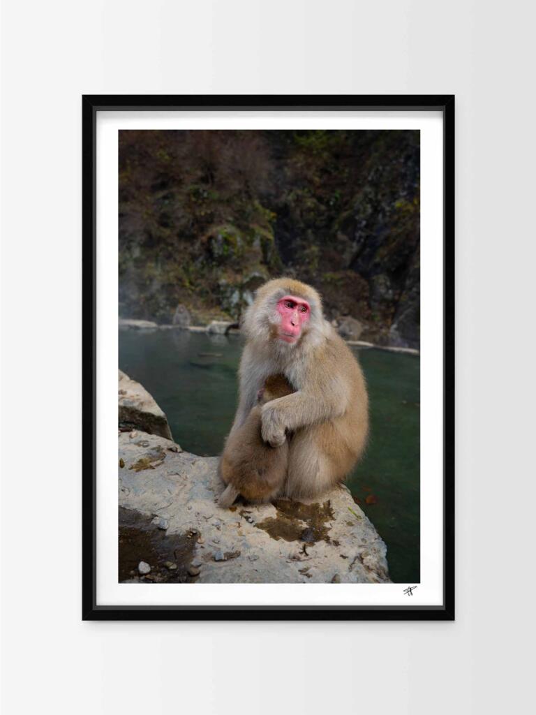 Monkeys in Jogokudani II – Impression d&rsquo;Art Mural Japon