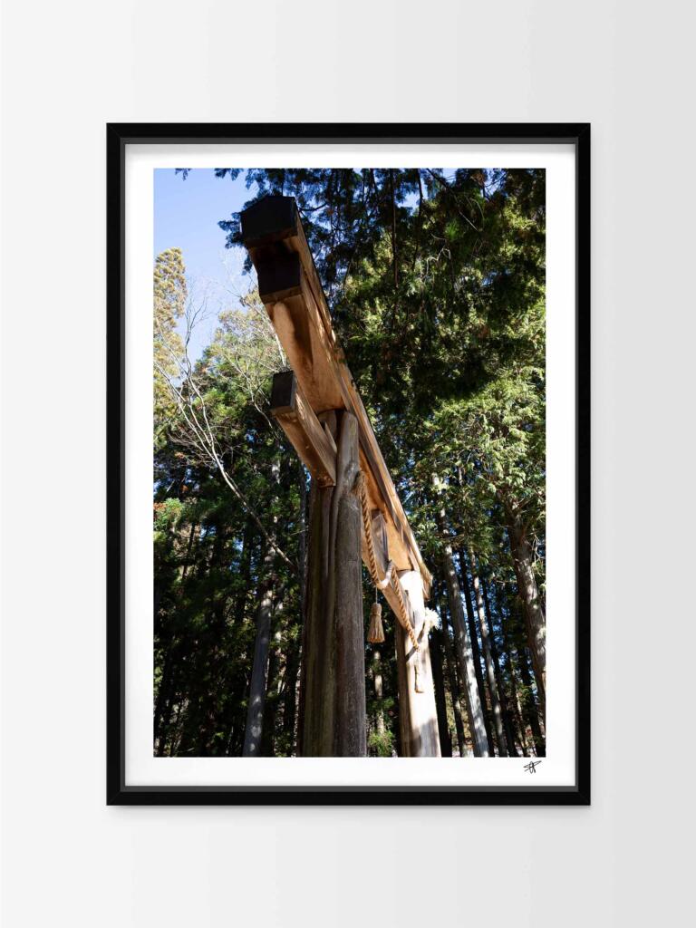 Torii in the forest – Impression d’Art Mural Japon