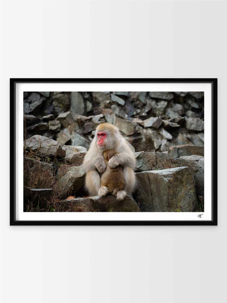 Monkeys in Jogokudani III – Impression d&rsquo;Art Mural Japon
