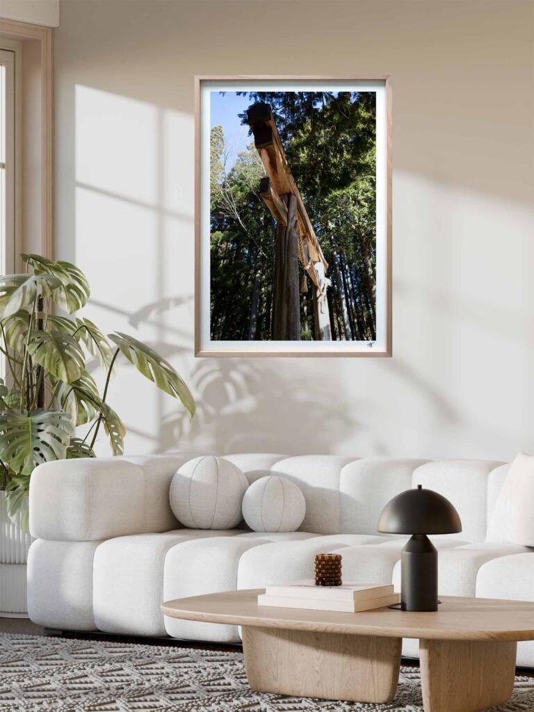 Torii in the forest – Impression d’Art Mural Japon - hover
